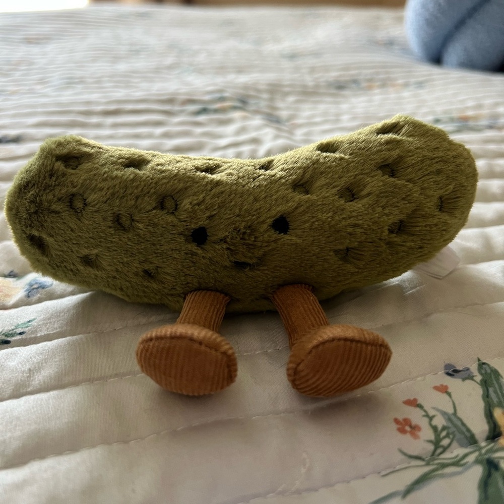 Plush Pickle Accent Pal